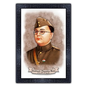 pnf poster n frames shubhas chandra bose photo framestudy living room wallacrylic sheetmotivationalhome decorbest gifting optionp-14310  14inchmulticolour