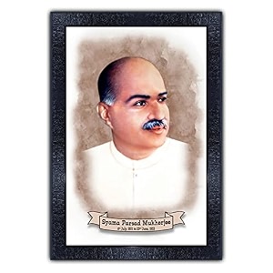 pnf uv textured framed poster of syama prasad mukherjee with wooden synthetic frame p-154 135x19inchframed printmulticolour