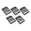 PNY 64GB Elite™ Class 10 U1 V10 SDXC Flash Memory Card - Read Up to 100MB/s, UHS-I, Record Premium Content, Continuous Full HD Photo, HD Video, DSLR Camera, Point &amp; Shoot Camera, 5-Pack