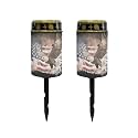 Poceacles 2 Pack Solar Lights Solar Cemetery Lights Solar Grave Lights Outdoor Waterproof Decoration Pathway Lights Garden Solar Candle for Memorial Day Decor, Eagle American Flag Splatter