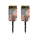 Poceacles 2 Pieces Solar Lights Outdoor Waterproof Grave Solar Lights for Cemetery LED Flameless Candle Cemetery Solar Candle Lights Pillar Candles Outdoor Decor, Brown Horse American Flag