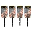 Poceacles 4 Pieces Solar Lights Outdoor Waterproof Grave Solar Lights for Cemetery LED Flameless Candle Cemetery Solar Candle Lights Pillar Candles Outdoor Decor, Brown Horse American Flag