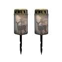 Poceacles Cross Outdoor Solar Lights Set of 2 Waterproof Outdoor Lights Solar Powered Solar Lantern Light Blessed Candles Cemetery Lights Outdoor Stake for Eternal Decorative, Deer Cross Galaxy