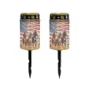 Poceacles Solar Candle Cemetery Solar Lights for Grave LED Garden Lights Solar Powered Solar Pathway Lights Outdoor Waterproof with Dusk to Dawn Sensor, Horse American Flag, Pack of 2