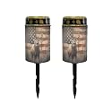 Poceacles Solar Lights Cemetery Solar Lights for Grave Solar Candle Solar Lantern Light Walkway Lights Waterproof Landscape Lighting for Loss of Loved One, Deer American Flag, Pack of 2