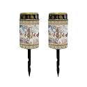 Poceacles Solar Lights Outdoor Cemetery Lights Solar Powered Cemetery Solar Lights Grave Flameless Candles Outdoor Stake Garden Lights Solar Lantern Outdoor Decoration, Aztec Brown Horse, Pack of 2
