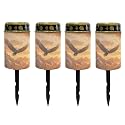 Poceacles Solar Lights Outdoor Grave Candle for Cemetery Decoration Solar Outdoor Lights for Garden Lawn Backyard Pathway Decor, Eagle Mountain Sunset Pattern, 4 Pack