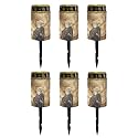 Poceacles Solar Lights Outdoor Set of 6 Waterproof LED Flameless Candle Cemetery Solar Decorative Lights Walkway Lights Landscape Lighting for Memorial Day Decor, Eagle Marble