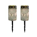 Poceacles Solar Lights Outdoor Solar Powered Cemetery Stake Lights Grave Lamp Landscape Lighting Waterproof Grave Flameless Candles, Vintage Floral Hummingbird Green, 2 Piece