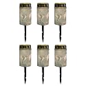Poceacles Solar Lights Outdoor Solar Powered Cemetery Stake Lights Grave Lamp Landscape Lighting Waterproof Grave Flameless Candles, Vintage Floral Hummingbird Green, 6 Piece