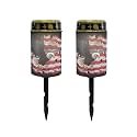 Poceacles Solar Lights Pack of 2 Outdoor Grave Solar Lights for Cemetery Decoration Solar Outdoor Lights Cemetery Solar Lamp for Garden Lawn Backyard Pathway Decor, Eagle American Flag Splash