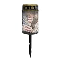 Poceacles Solar Lights Solar Cemetery Lights Solar Grave Lights Outdoor Waterproof Decoration Pathway Lights Garden Solar Candle for Memorial Day Decor, Eagle American Flag Splatter