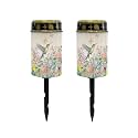 Poceacles Solar Lights Waterproof Solar Garden Lights Cemetery Solar Outdoor Lights Outdoor Stake Automatic Solar Lantern for Cemetery Grave Decoration, Hummingbird Flower Butterfly, Pack of 2