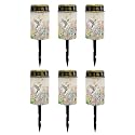 Poceacles Solar Lights Waterproof Solar Garden Lights Cemetery Solar Outdoor Lights Outdoor Stake Automatic Solar Lantern for Cemetery Grave Decoration, Hummingbird Flower Butterfly, Pack of 6