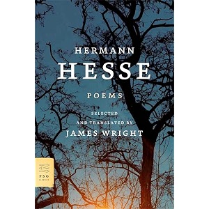poems 24 passages from the metamorphoses fsg classics