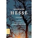 Poems: 24 Passages from the Metamorphoses (FSG Classics)