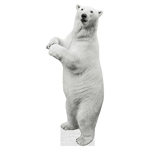 Polar Bear - Life Size Cardboard Cutout