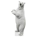 Polar Bear - Life Size Cardboard Cutout Standup People with Support Standee | Animals -