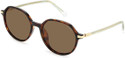 POLAROID Polarized Oval Sunglasses 53 For Men