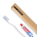 Hotel Dental Kit, Pack Of 100, With Toothbrush & 8 Gram Toothpaste, Bio-Degradable Kraft Paper Pouches|Manual|Adult|White