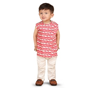 POLKA TOTS Pure Cotton New Born Dress