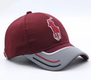 polo store embroidered snapback cap