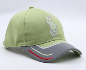 polo store embroidered snapback cap