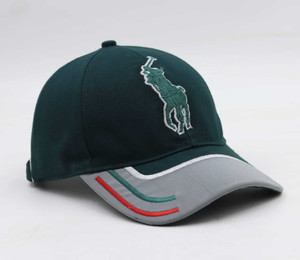polo store embroidered snapback cap