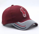 Polo store Embroidered Snapback Cap