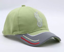 Polo store Embroidered Snapback Cap