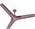 Polycab EUPHORIA EP01 with 2 Year Warranty 1200 mm Ceiling Fan (MYSTIC MAGENTA - SILVER | Pack of 1)