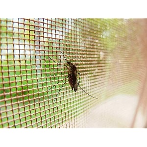 polycotton mosquito netmachardani for double bed 10x65 ft ideal for indoor and outdoor use- green