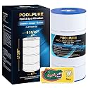 POOLPURE PXST100 Pool Filter Replaces Hayward X-Stream CC1000 1PACK