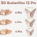 Pop The Party Rose Gold 3D Butterfly Wall &amp; Cake Decoration Set | Butterfly Stickers for Birthday, Baby Shower, Anniversary &amp; Party Décor | Pack of 12