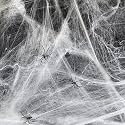Pop The Party Halloween Spider Web Decorations – Stretchable Fake Cobwebs with Spiders for Indoor & Outdoor Halloween, Haunted House & Yard Decor 2 Spiders