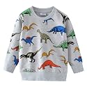 Popshion Toddler Boys Sweatshirt Cotton Lightweight Kids Winter Warm Sweater Crewneck Pullover Tops