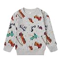 Popshion Toddler Boys Sweatshirt Cotton Lightweight Kids Winter Warm Sweater Crewneck Pullover Tops