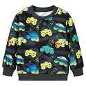Popshion Toddler Boys Sweatshirt Cotton Lightweight Kids Winter Warm Sweater Crewneck Pullover Tops