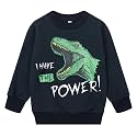 Popshion Toddler Boys Sweatshirt Cotton Lightweight Kids Winter Warm Sweater Crewneck Pullover Tops