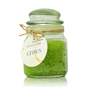 premium scented jar candle - 3 ounces hand-poured with citrus 22-hour burn time paraben amp phthalate-free reusable glass jar perfect for gifting aromatherapy home decor