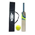 Popular Willow Wooden Cricket Bat with Tennis Cricket Ball Combo for Kids (Size 4 for Age 8-10 Years) and Bag Cover