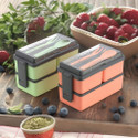 Porslin Combo of 2 Pista and Orange with Spoon and Fork Office School Collage 6 Containers Plastic Office Lunch Box (3000 ml)