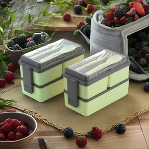 porslin tiffin combo of 2 pista lunch box with spoon and fork office school collage 6 containers plastic office lunch box 3000 ml