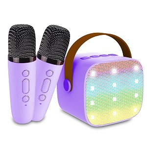 Portable Bluetooth Karaoke Speaker with 2 Wireless