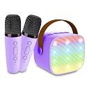 Portable Bluetooth Karaoke Speaker with 2 Wireless