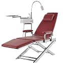 Portable LED Dental Chair Dental Care Bed with 360° Light Arm Rotating, Spittoon and Tray Portable Dental Chair for Hospitals, Beauty Parlours(Blue, Green, Red)(Red)