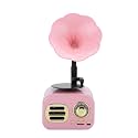 Portable Speaker, Retro Mini Loudspeaker with Wide Compatibility and Excellent Sound Quality, for Travel and Outdoor Use (Pink)