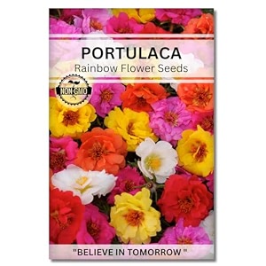 navika seeds  grow with us portulaca flower seeds for home gardening perfect for home amp terrace gardening winter and summer blooms in india - includes free e-book