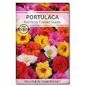 Navika Seeds ; Grow with Us Portulaca Flower Seeds For Home Gardening. Perfect For Home &amp; Terrace Gardening Winter And Summer Blooms In India - Includes Free E-Book