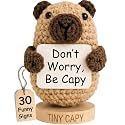 Positive Capybara Crochet with 30 Funny Affirmation Cards - Emotional Support Friendship Gifts for Women Men, Teens or Adults, Best Friend, for Birthday, Cheer Up | Affirmation Cards for Her Him